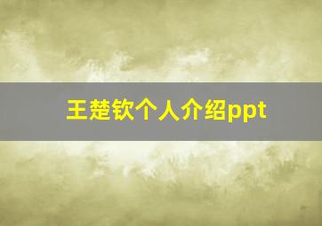 王楚钦个人介绍ppt