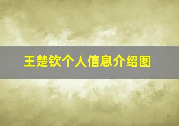 王楚钦个人信息介绍图