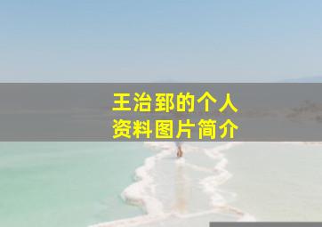 王治郅的个人资料图片简介