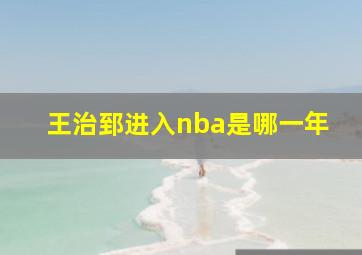 王治郅进入nba是哪一年