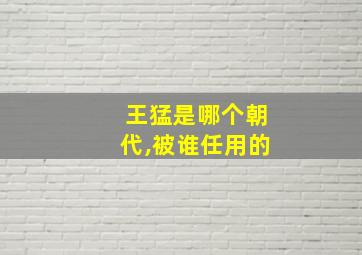 王猛是哪个朝代,被谁任用的