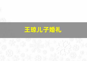 王琼儿子婚礼