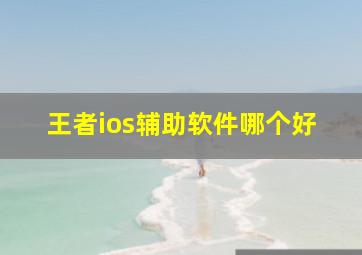 王者ios辅助软件哪个好