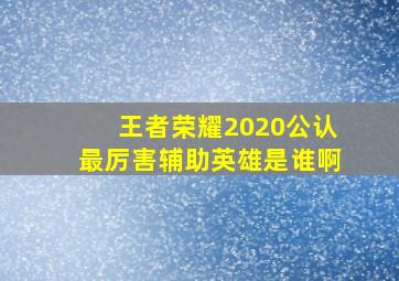 王者荣耀2020公认最厉害辅助英雄是谁啊