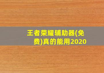 王者荣耀辅助器(免费)真的能用2020