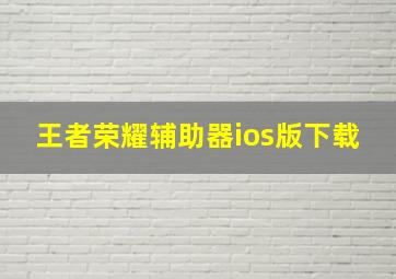 王者荣耀辅助器ios版下载