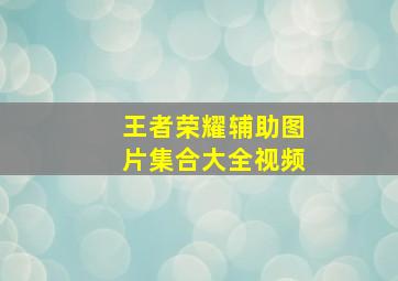 王者荣耀辅助图片集合大全视频