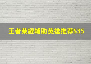 王者荣耀辅助英雄推荐S35