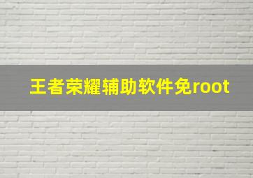 王者荣耀辅助软件免root