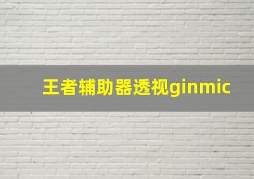 王者辅助器透视ginmic