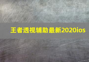 王者透视辅助最新2020ios