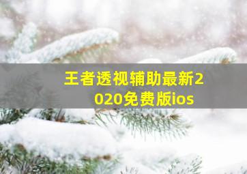 王者透视辅助最新2020免费版ios