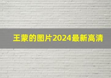 王蒙的图片2024最新高清