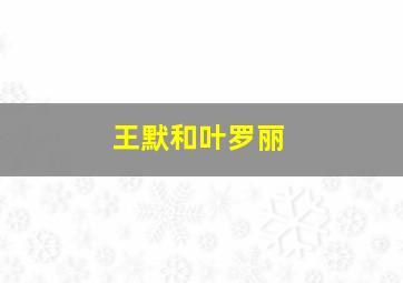 王默和叶罗丽