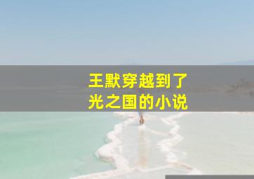 王默穿越到了光之国的小说