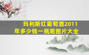 玛利斯红葡萄酒2011年多少钱一瓶呢图片大全