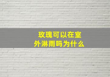 玫瑰可以在室外淋雨吗为什么