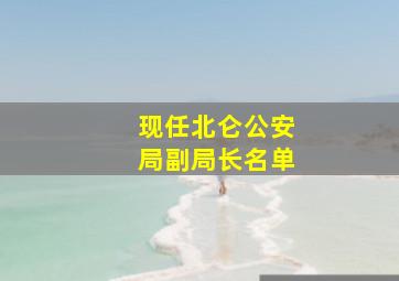 现任北仑公安局副局长名单