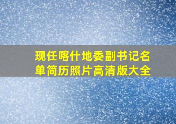 现任喀什地委副书记名单简历照片高清版大全