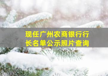 现任广州农商银行行长名单公示照片查询