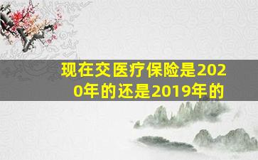 现在交医疗保险是2020年的还是2019年的