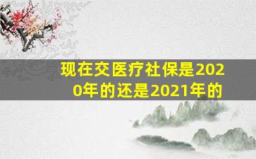 现在交医疗社保是2020年的还是2021年的