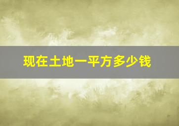 现在土地一平方多少钱