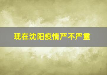 现在沈阳疫情严不严重