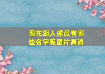 现在湖人球员有哪些名字呢图片高清