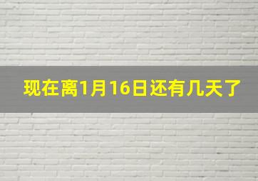 现在离1月16日还有几天了