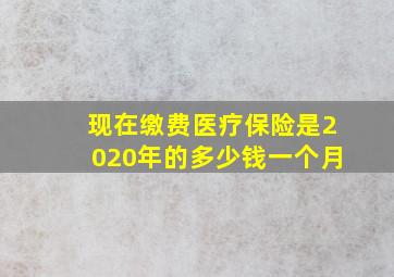 现在缴费医疗保险是2020年的多少钱一个月