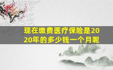 现在缴费医疗保险是2020年的多少钱一个月呢