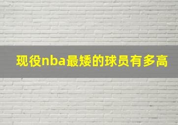 现役nba最矮的球员有多高