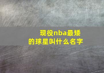 现役nba最矮的球星叫什么名字