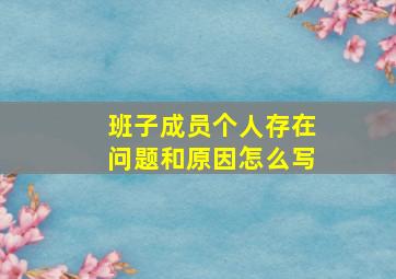 班子成员个人存在问题和原因怎么写