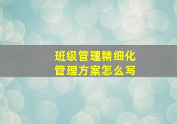 班级管理精细化管理方案怎么写