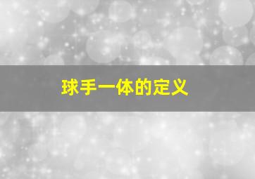 球手一体的定义