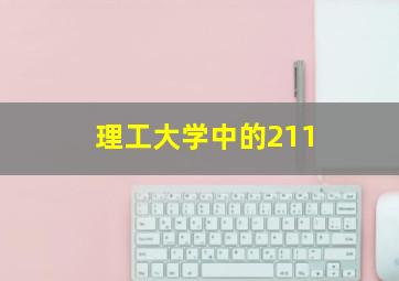 理工大学中的211