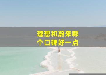 理想和蔚来哪个口碑好一点