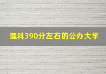 理科390分左右的公办大学