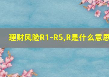 理财风险R1-R5,R是什么意思