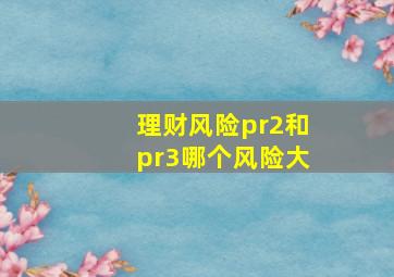 理财风险pr2和pr3哪个风险大