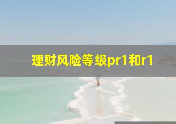 理财风险等级pr1和r1