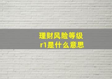 理财风险等级r1是什么意思