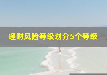 理财风险等级划分5个等级