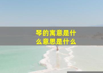 琴的寓意是什么意思是什么