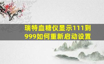 瑞特血糖仪显示111到999如何重新启动设置