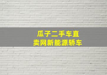 瓜子二手车直卖网新能源轿车