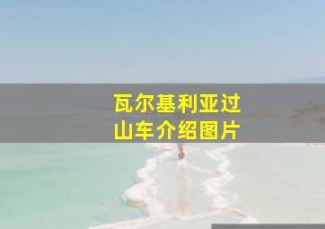 瓦尔基利亚过山车介绍图片