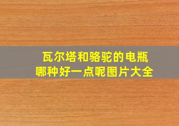 瓦尔塔和骆驼的电瓶哪种好一点呢图片大全